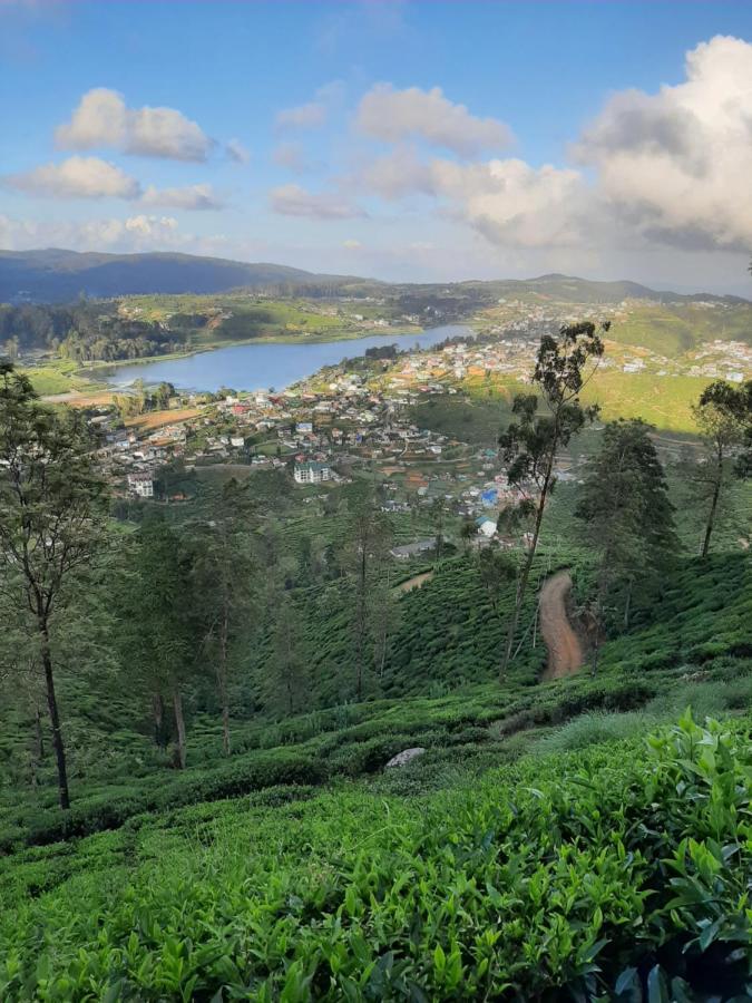 Summer Glow Guest - Nuwara Eliya Eksteriør billede